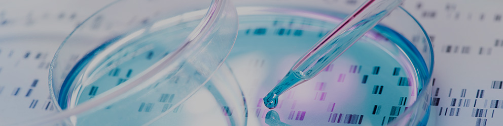 A pipette dispenses liquid into a petri dish placed on a sheet displaying DNA sequencing data, capturing the attention of chicago lawyers interested in biotech innovations.