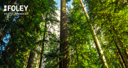Tall evergreen trees in a dense forest with sunlight filtering through the branches; "Foley Foley & Lardner LLP," a leading corporate law office, logo in the top left corner.
