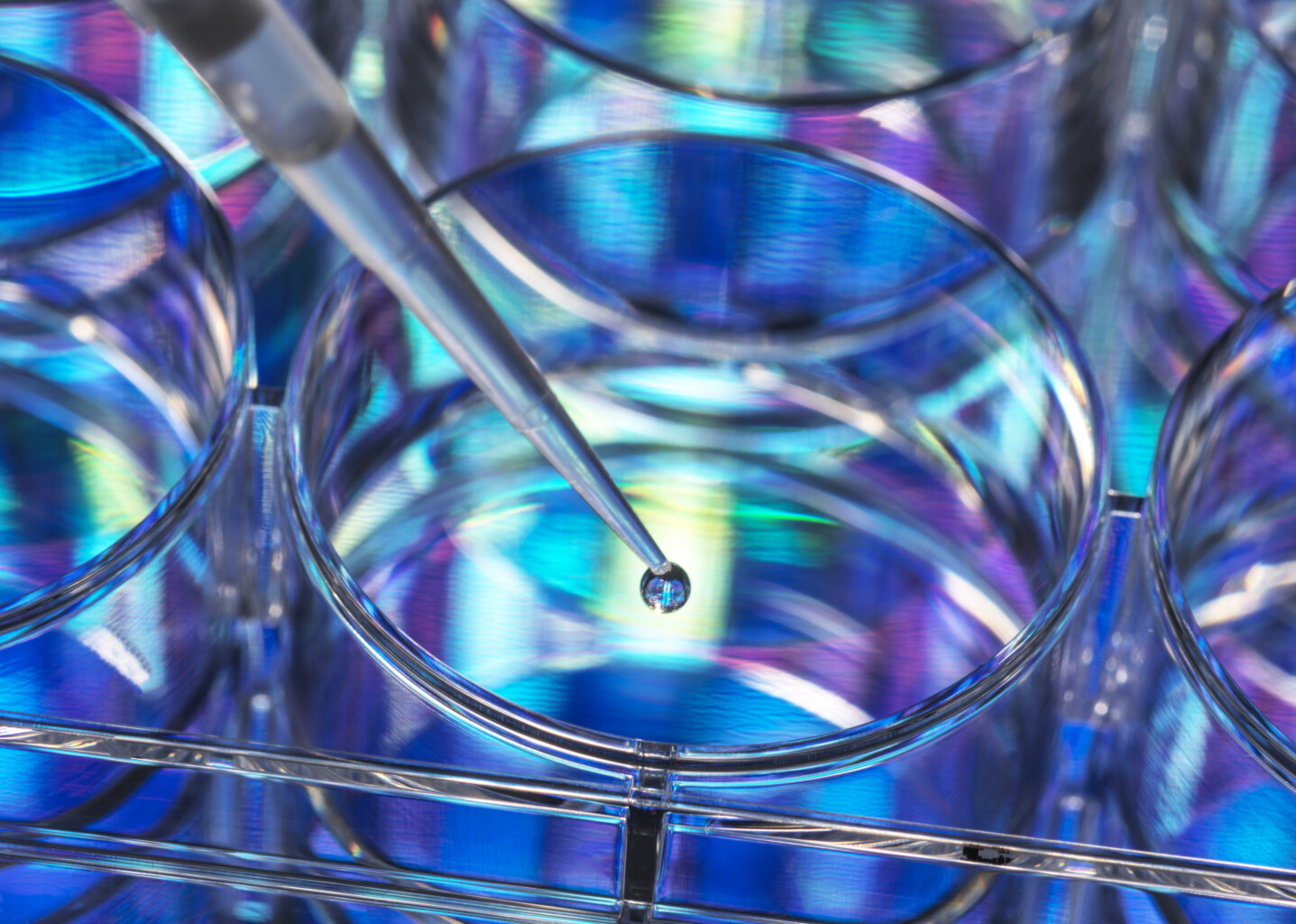 Foley Advises EpiVax in Acquisition by SV Health Investors